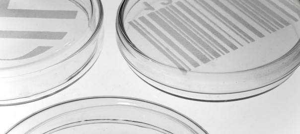 Lichtenberger DNA, 2014