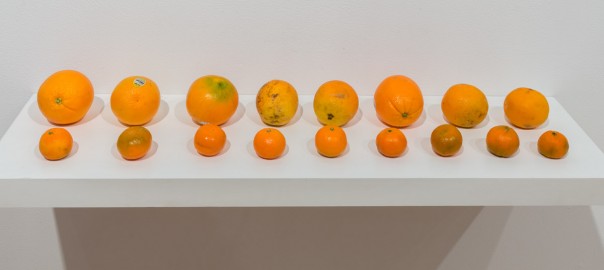 50 Shades of Orange, 2014