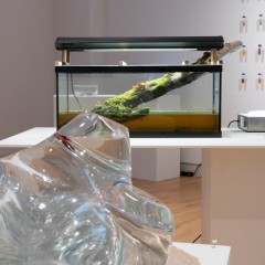 Where is the art in Bio Art? Installation View
