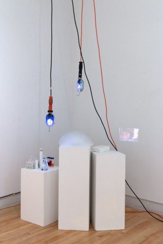 Experiments on Bioluminescent Clouds, 2014