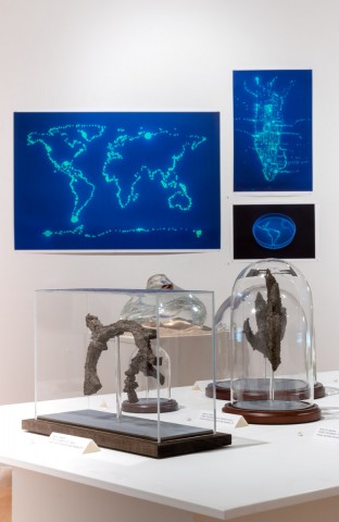 Where is the art in Bio Art? Installation view