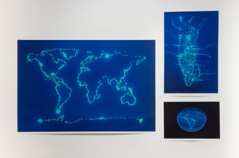 Digital print of fluorescent bacteria