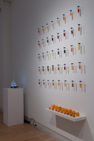 Where is the Art in Bio Art? Installation view