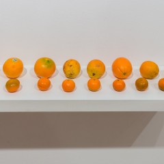 50 Shades of Orange, 2014