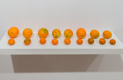 50 Shades of Orange, 2014