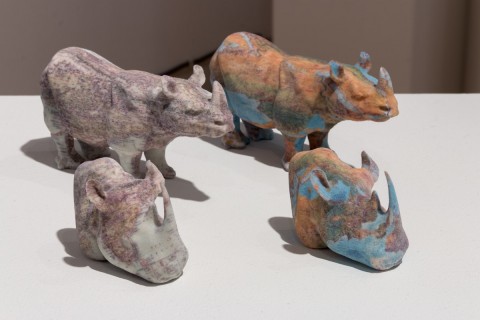 Rhinos, 2014