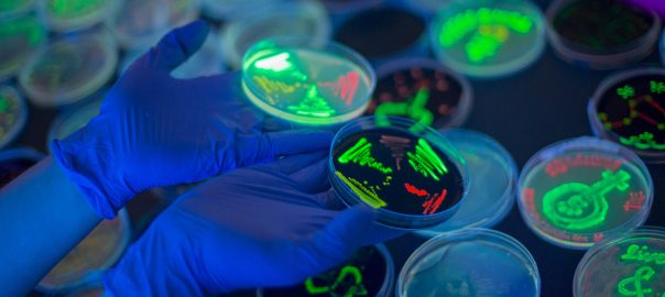 2018 ASAM Agar Art Contest