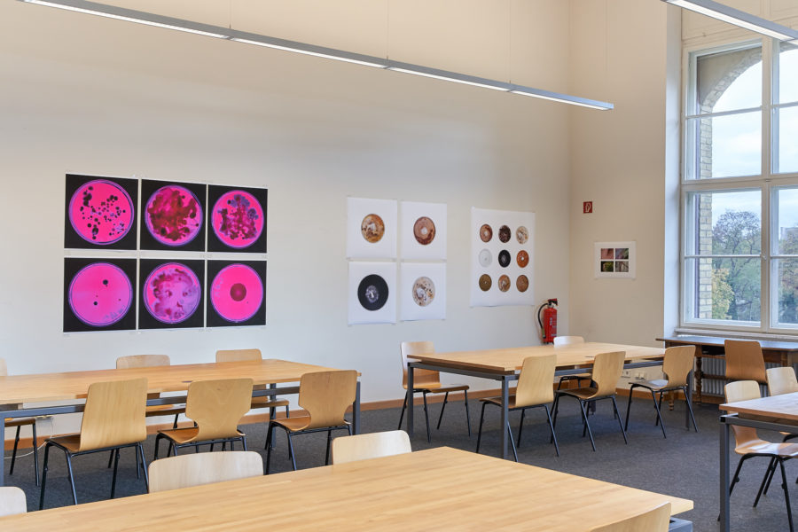 Installation view of artworks in the Berlin Science Week